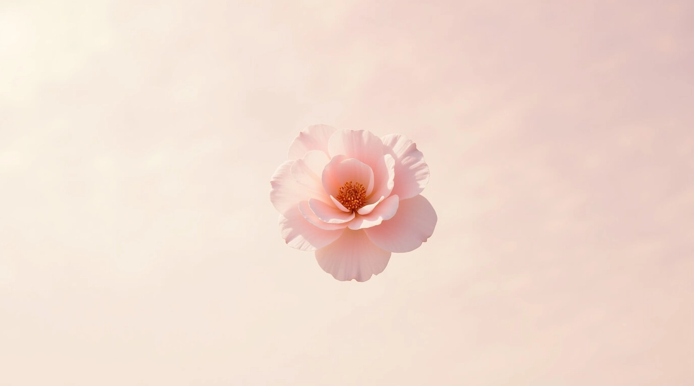 anh gai xinh viet nam sexy