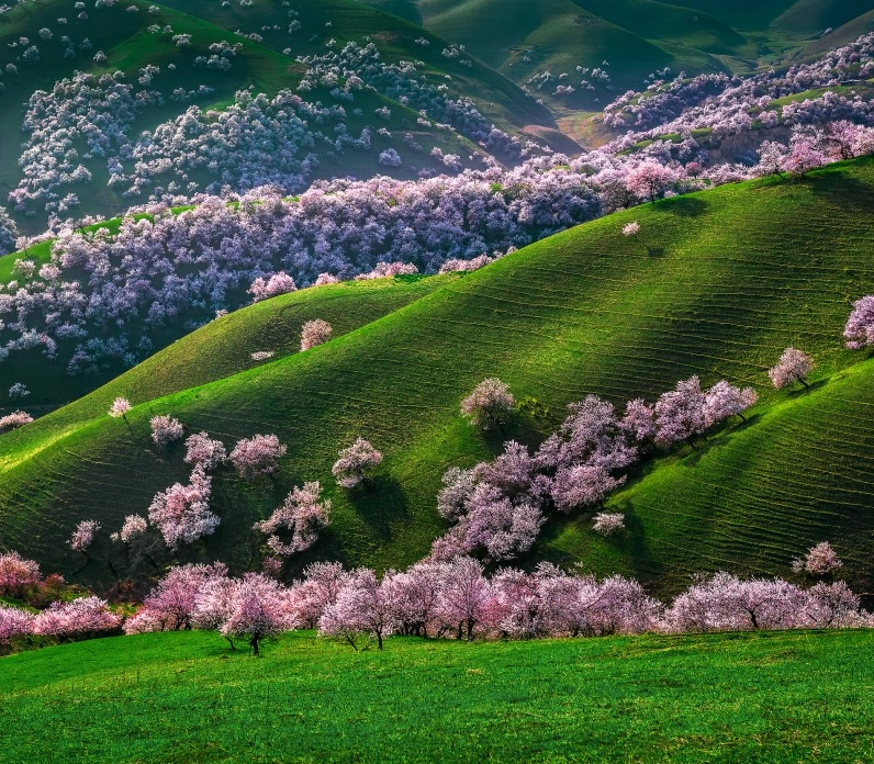Cảnh quan thiên nhiên hoang sơ và hùng vĩ tại Tân Cương, một bức Ảnh thiên nhiên trung quốc ấn tượng