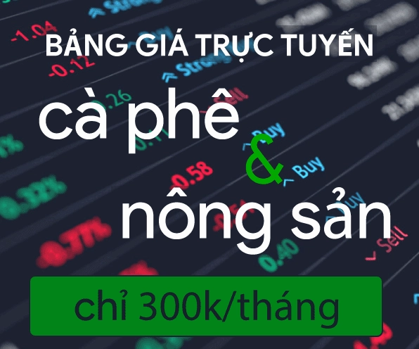 Chi tiết về giá cà phê hôm nay tp bảo lộc (lâm đồng)