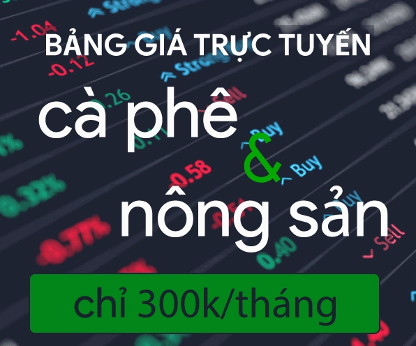 Chi tiết về giá cà phê hôm nay tp buôn ma thuột đắk lắk