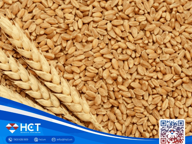 Chi tiết về giá cà phê hôm nay tp buôn ma thuột đắk lắk