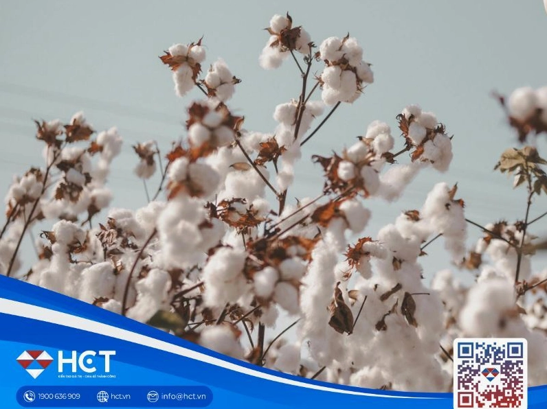 Chi tiết về giá cà phê hôm nay tp buôn ma thuột đắk lắk