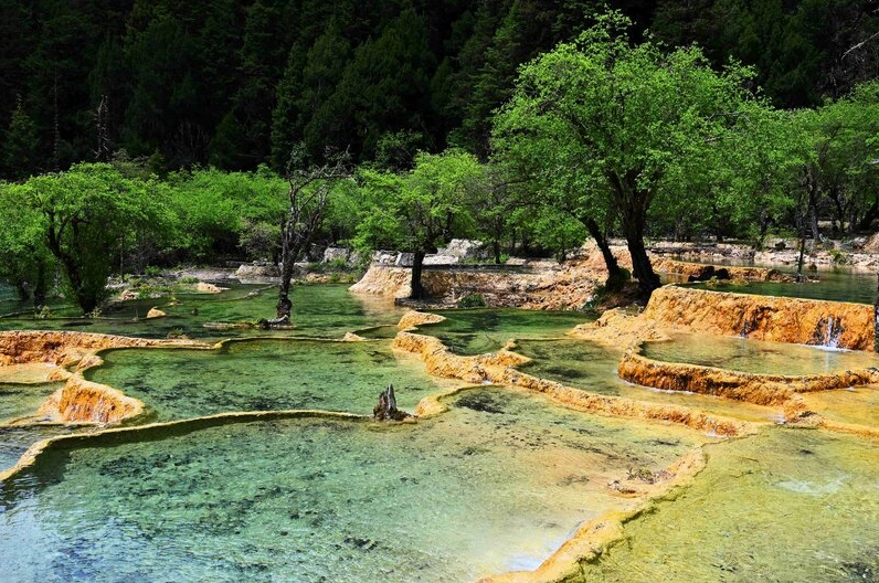 Những cột đá sa thạch hùng vĩ tại Trương Gia Giới, tạo nên cảnh quan độc đáo của Ảnh thiên nhiên trung quốc