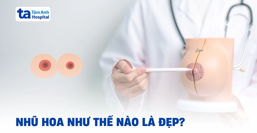 Phân tích về hình dạng và kích thước nhũ hoa bình thường
