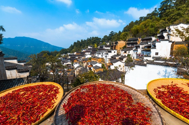 Rừng tre xanh mướt, một vẻ đẹp thanh bình trong Ảnh thiên nhiên trung quốc