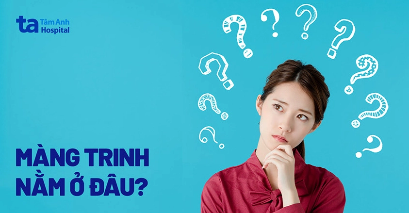 Sơ đồ vị trí màng trinh trong bộ phận sinh dục nữ