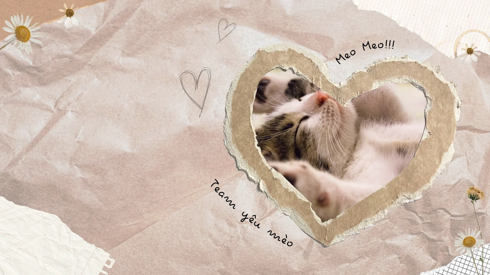 Ảnh ghép nghệ thuật tông màu nâu be kết hợp họa tiết trái tim và chú mèo làm hình nền