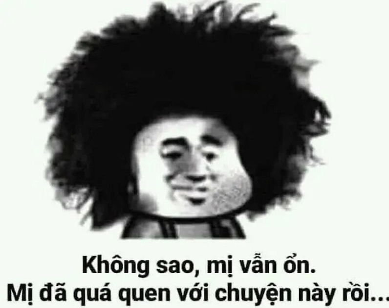 Meme gấu trúc khóc lóc thảm thiết