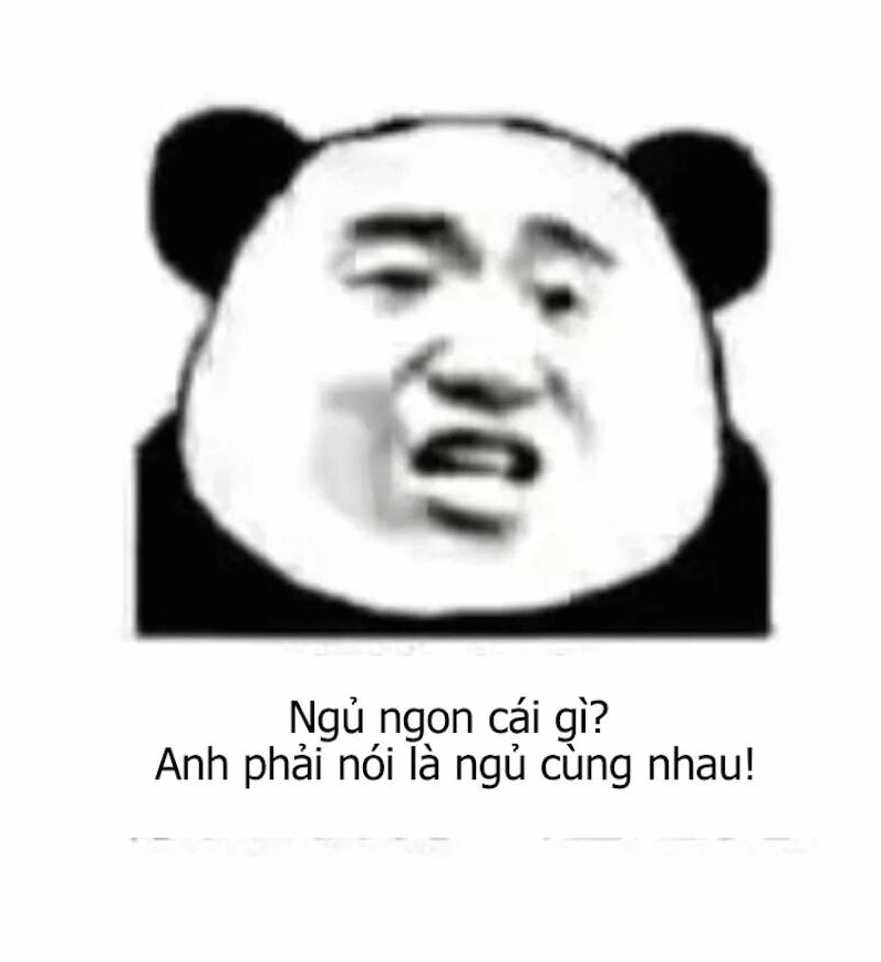 Meme gấu trúc với cảm xúc dâng trào tột độ