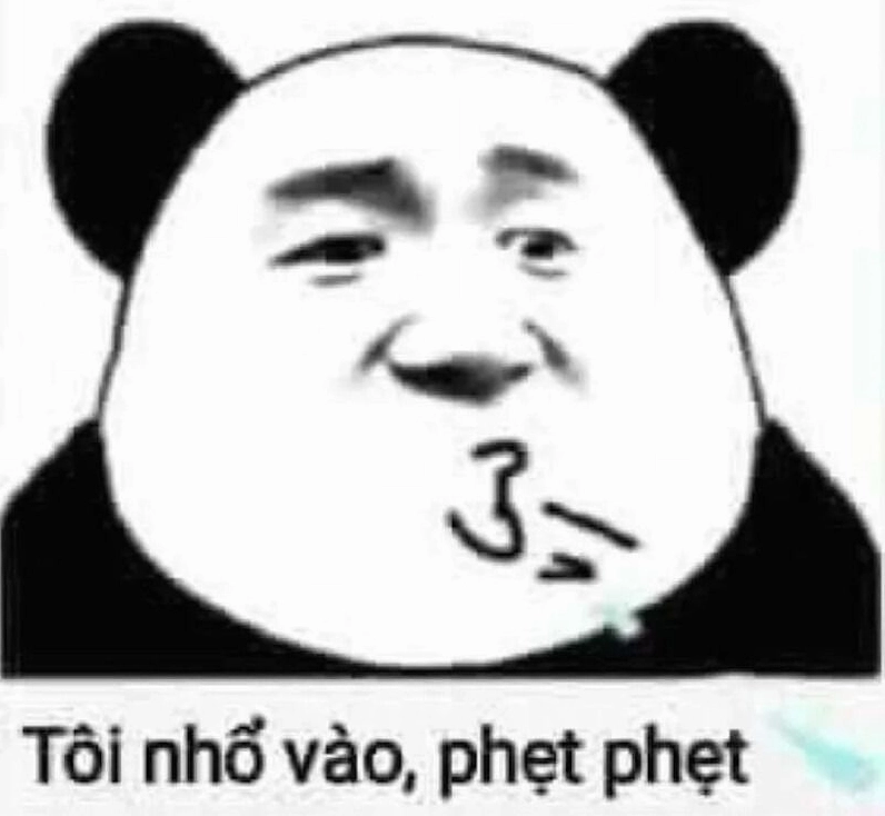 Meme gấu trúc với những hành động cực kỳ ngộ nghĩnh